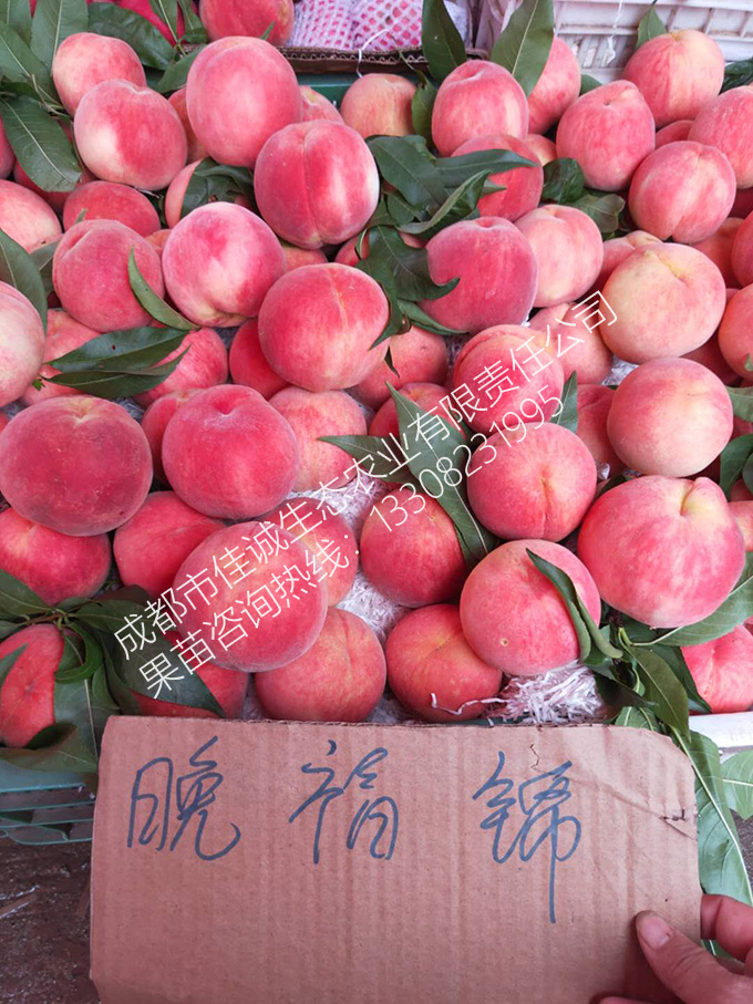 微信图片_202009021603182 拷贝.jpg