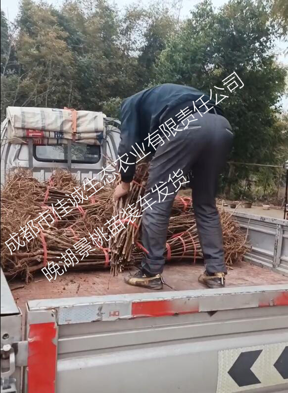 QQ截图20240425105601.jpg