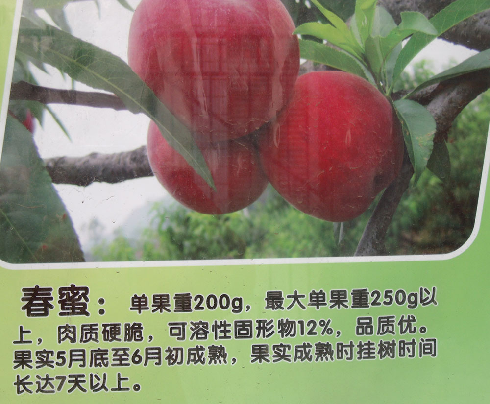 DSCF7017.JPG
