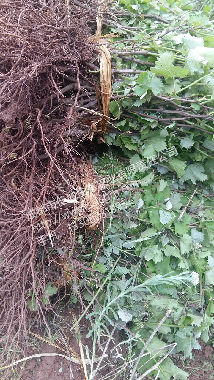 20160404_173908.jpg
