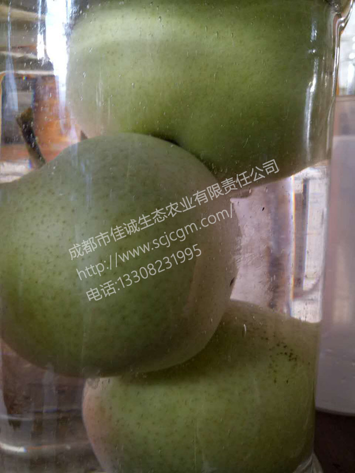 467483433 拷贝.jpg