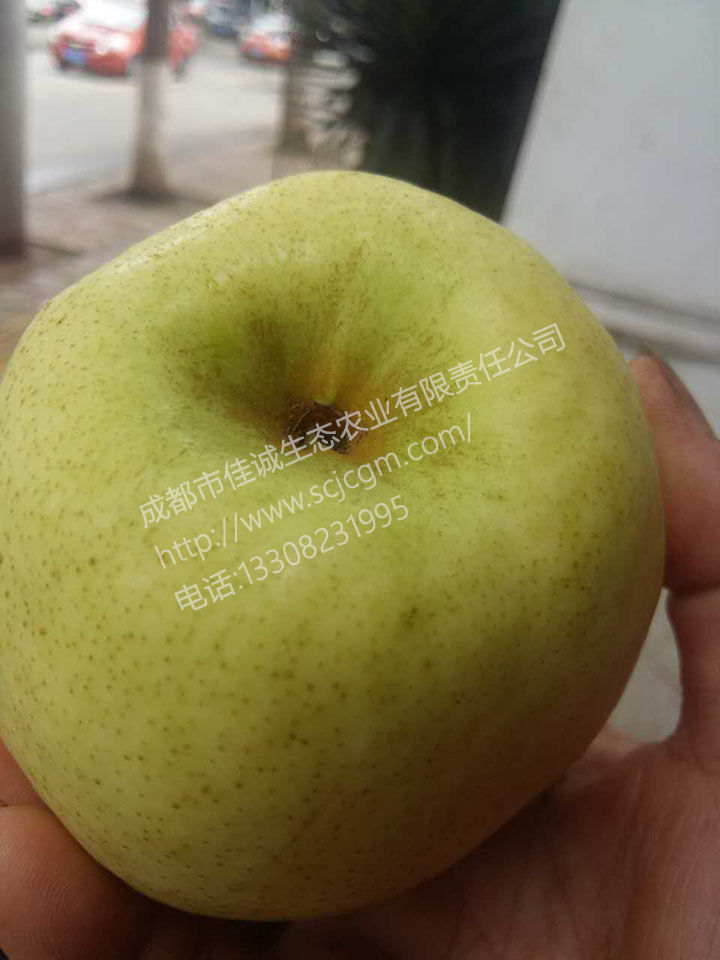 mmexport1477881384493 拷贝.jpg