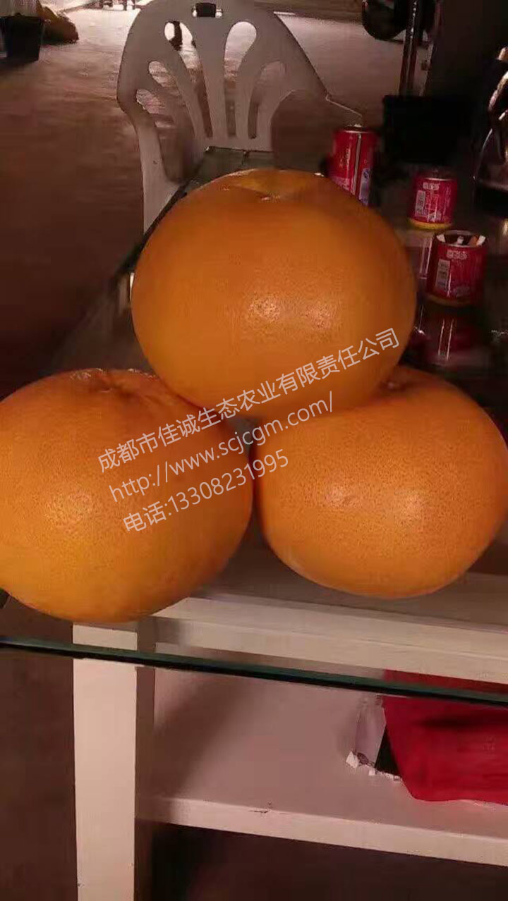 mmexport1486881791444 拷贝.jpg