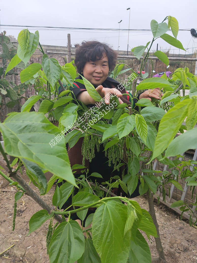 微信图片_20190701161507 副本.jpg