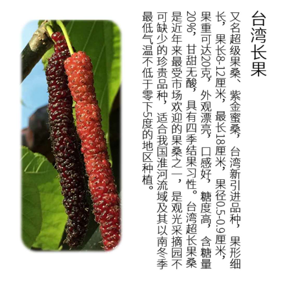 微信图片_20190701162056.jpg 微信图片_20190701162056.jpg