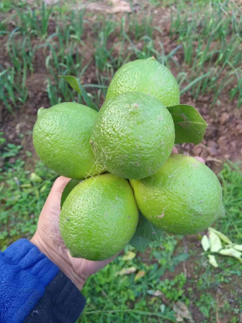 e9ac366d5084e3d41357bfc6d161bbe 拷贝.jpg